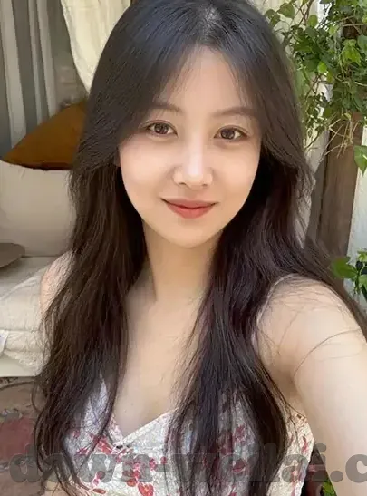 世界杯黄红统计-世界杯黄红统计，赛场纪律与球员激情的微妙平衡